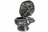 Amethyst Jewelry Box Geode On Stand - Gorgeous #78006-5